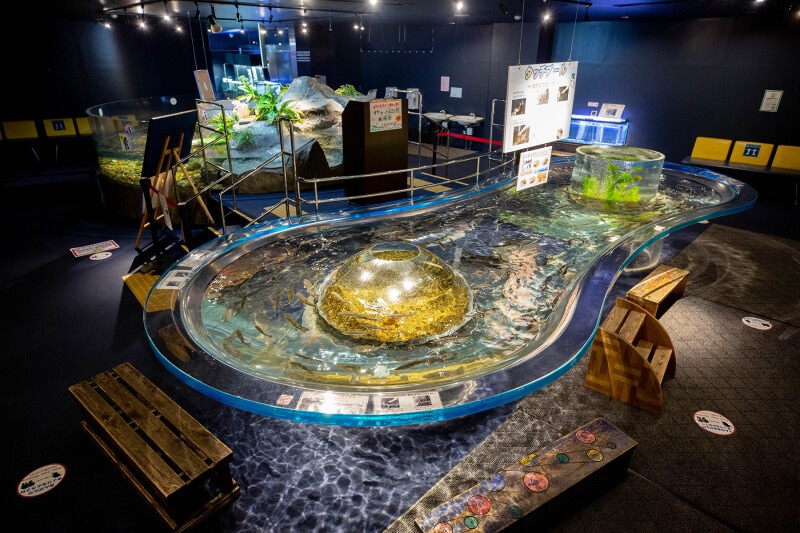 サケのふるさと 千歳水族館