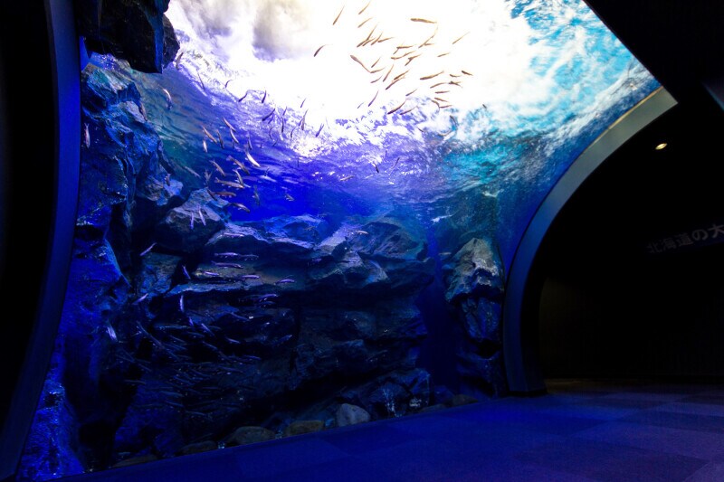 北の大地水族館 山の水族館