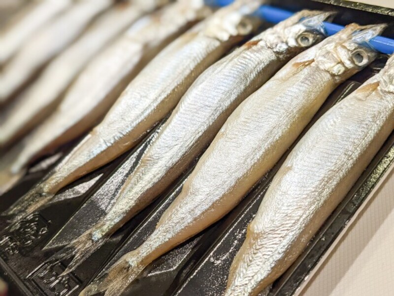 魚の骨 に悩まされず魚料理を味わう 喉に刺さったトラウマ 骨取りが面倒もこれで解消 節約 All About