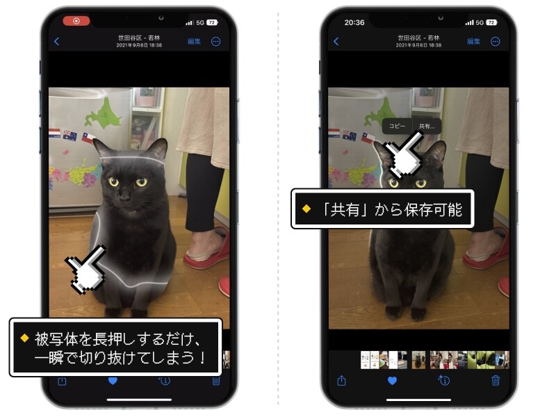iOS 16の新機能「被写体切り抜き」の精度がスゴい