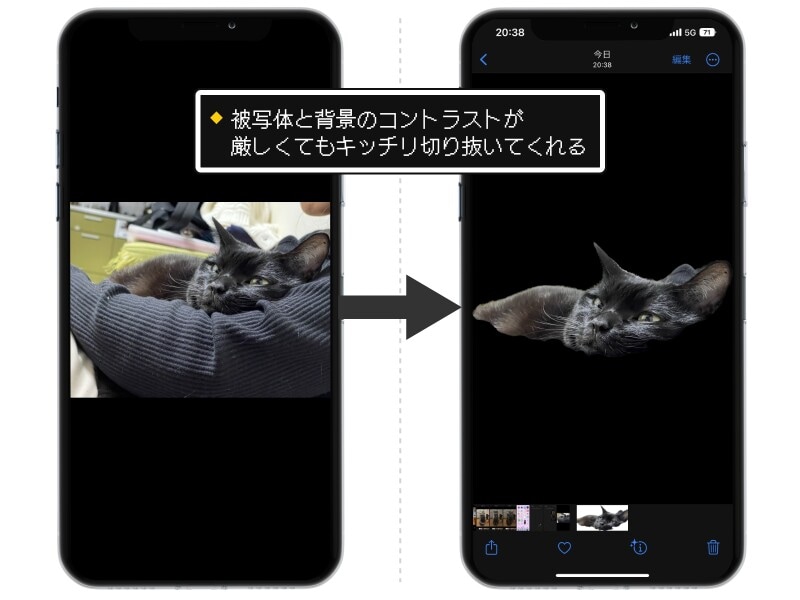 iOS 16の新機能「被写体切り抜き」の精度がスゴい