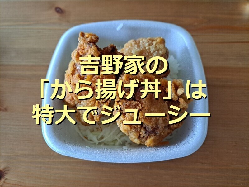 吉野家の「から揚げ丼」はテイクアウトOK