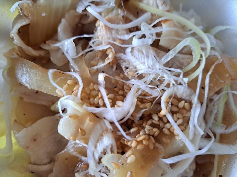 吉野家の「ねぎ塩豚丼」