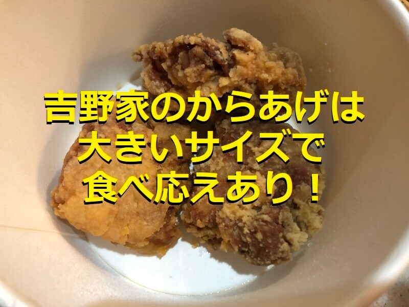 吉野家の「からあげ」はサイズが大きくて食べ応え抜群