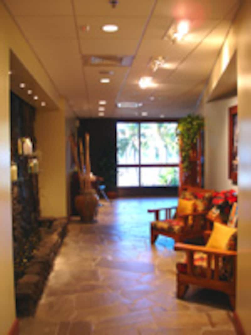 写真のタイトル