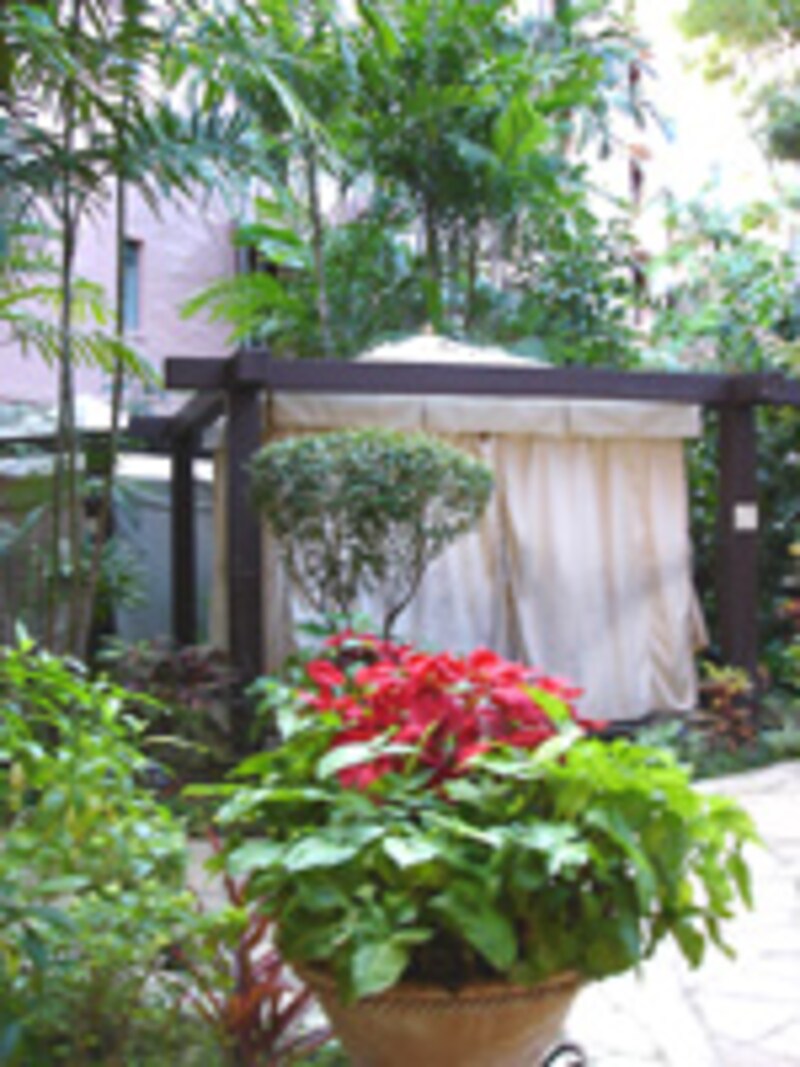 写真のタイトル