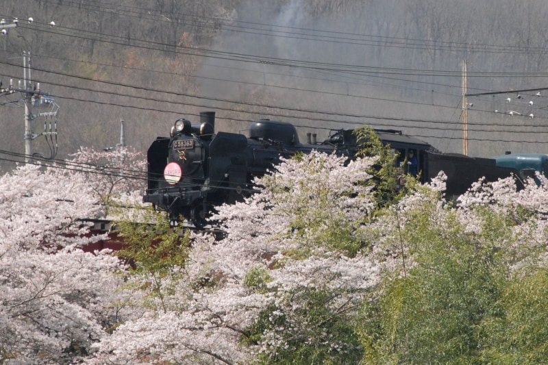 SLパレオエクスプレス