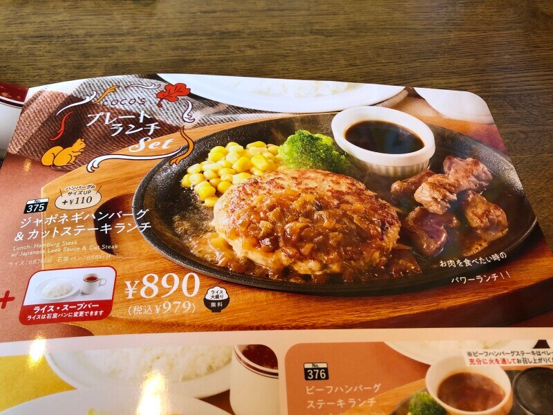 ジャポネギハンバーグ&カットステーキ ランチ