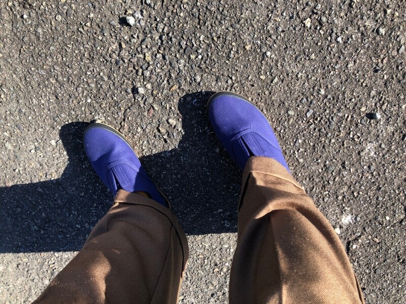 ワークマンの作業靴「建さんⅡ」は散歩には向いている