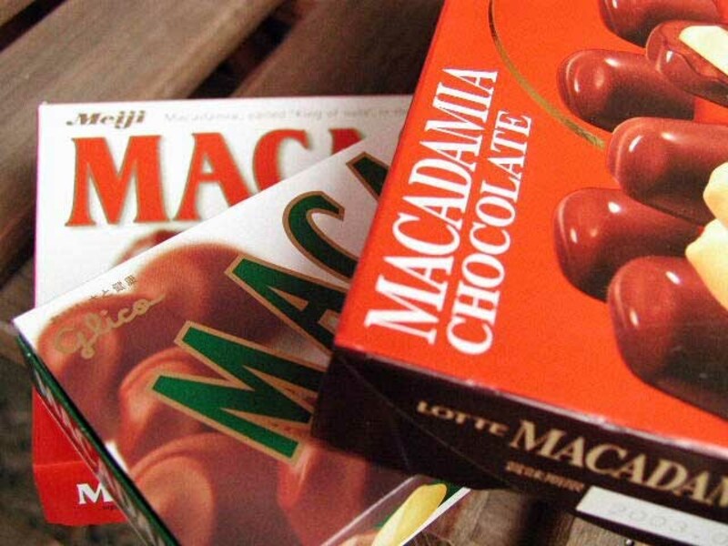 マカダミアナッツチョコも比較しちゃうぞ