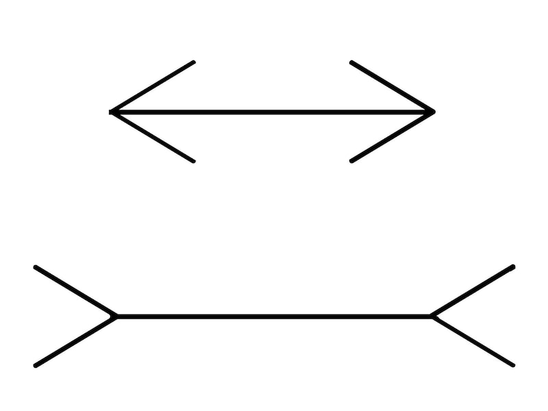 ミュラー・リヤー錯視