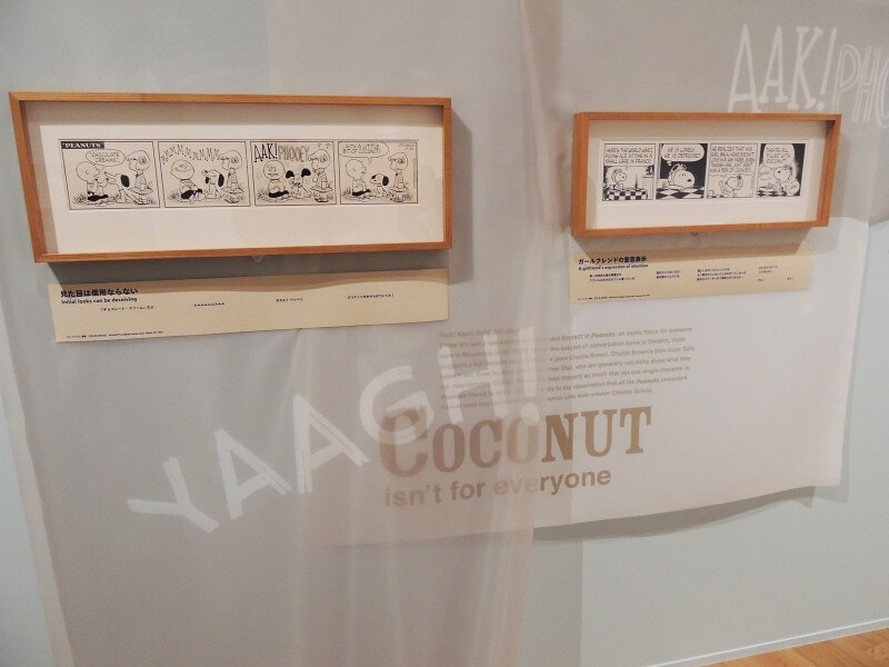 苦手なものは、ココナッツ