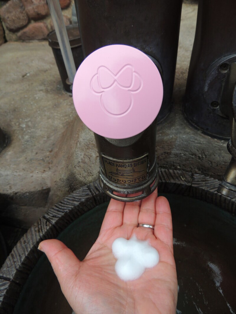 東京ディズニーリゾート