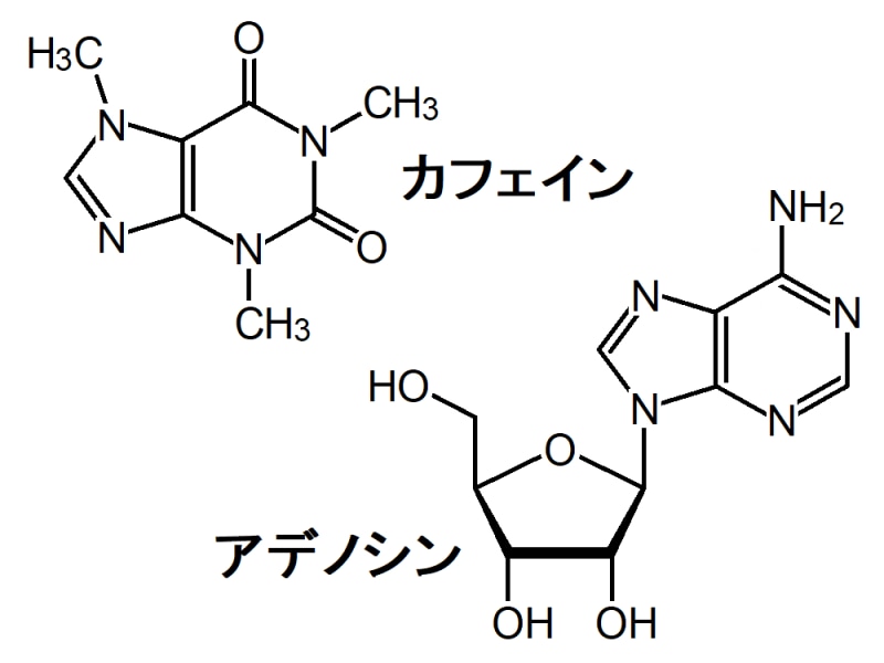 カフェイン,アデノシン,化学構造