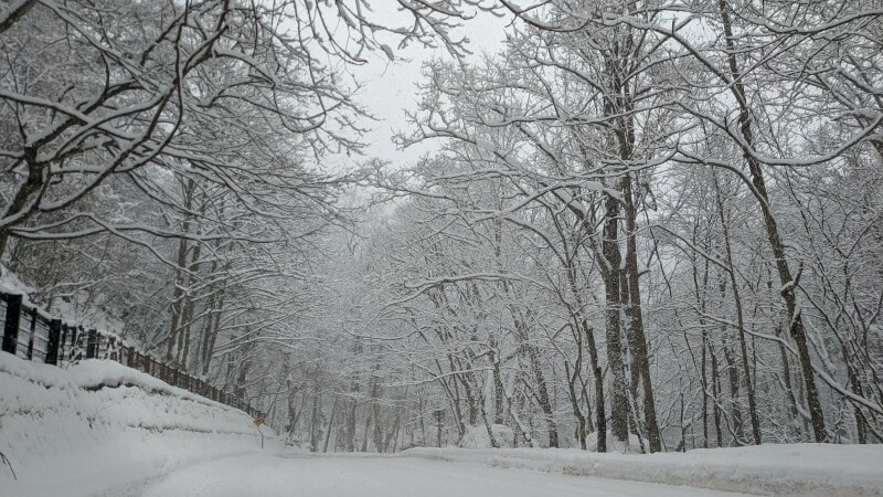 奥入瀬,ホテル,青森