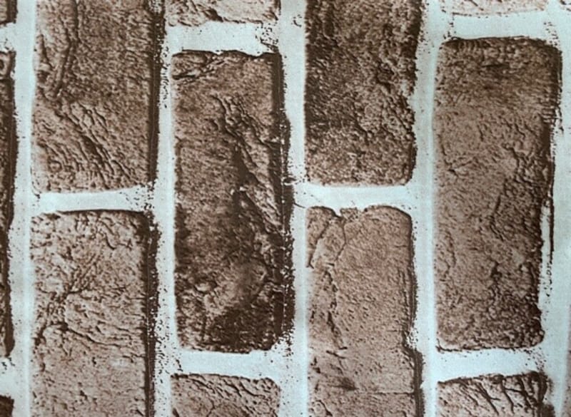 ���ꥢ�Ρ֥�ᥤ�������ȥ�󥬡פ�SNS�μ̿����طʤˤ�Ǥ�����