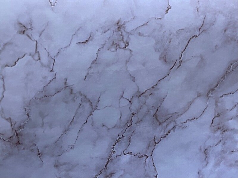 ���ꥢ�Ρ֥�ᥤ�������� ���������פϾ�ʪ��Ž������Ǥ��鴶���Ф�