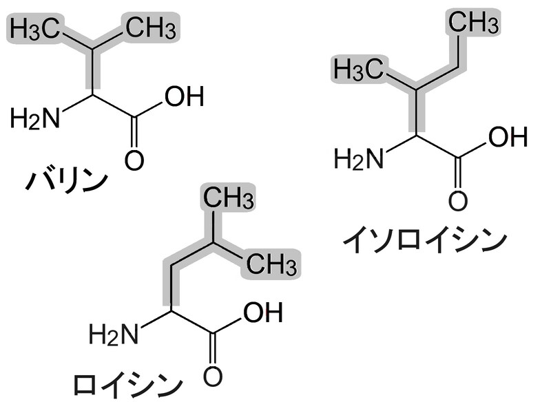 BCAA, 分岐鎖アミノ酸