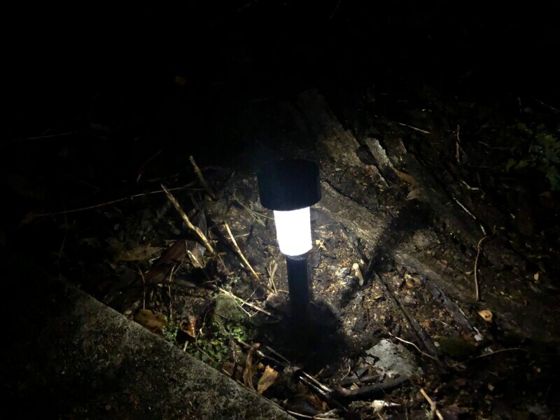 ダイソーの「ソーラーガーデンライト」は足元を照らすには十分な明るさ