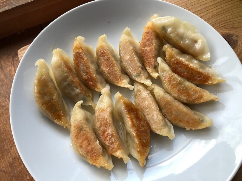 トップバリュの「生餃子」は皮が薄めで具材たっぷり