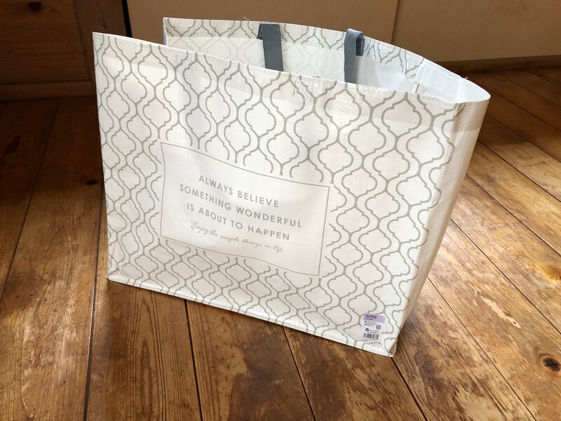 セリアの「レジャーバッグ」は自立するから使いやすい