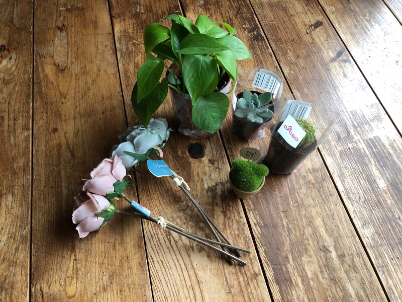 100均の観葉植物ランキング