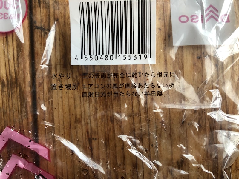 「ダイソーのポトス」の育て方