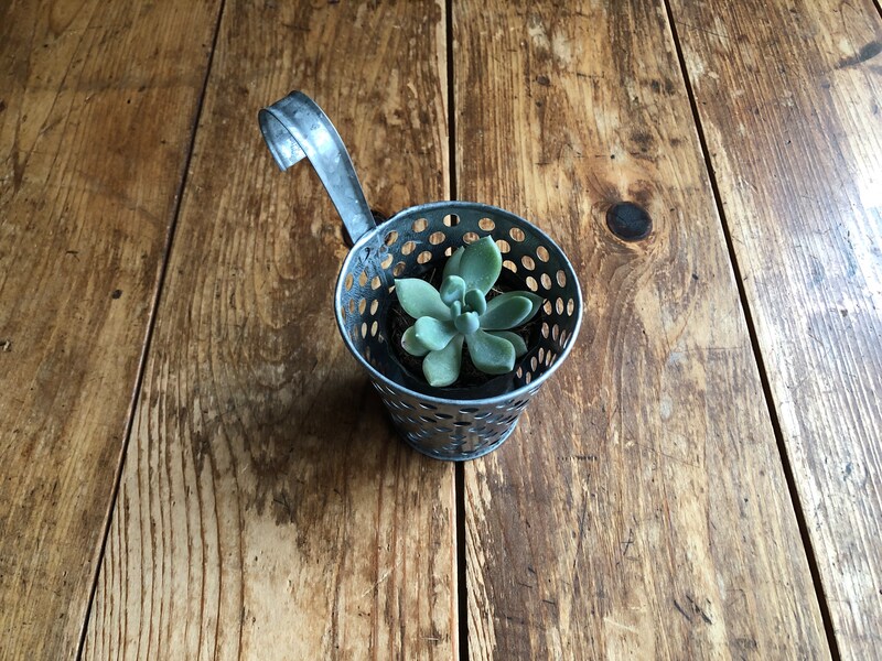 「ダイソーのフユビジン」も手入れは簡単