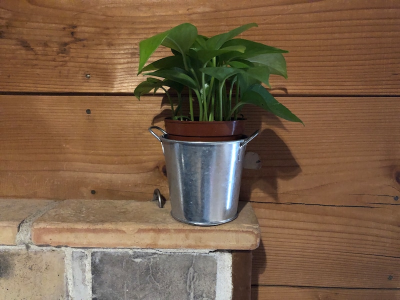 「ダイソーのポトス」はエアコンの風や直射日光が当たらない場所に飾る