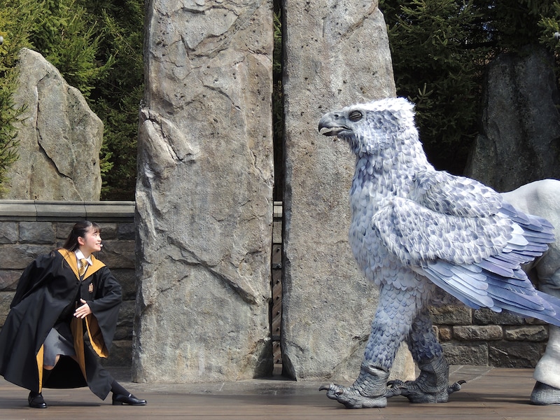 ヒッポグリフ・マジカル・レッスン