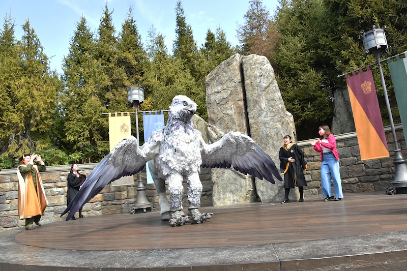 ヒッポグリフ・マジカル・レッスン