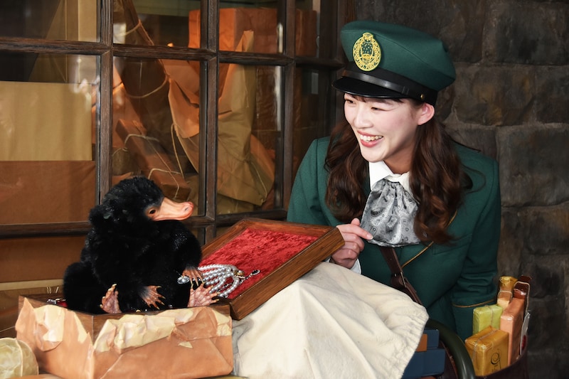 ホグズミード・マジカル・クリチャーズ・ミート