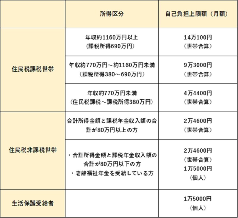 https://www.mhlw.go.jp/file/06-Seisakujouhou-12300000-Roukenkyoku/0000165766.pdf