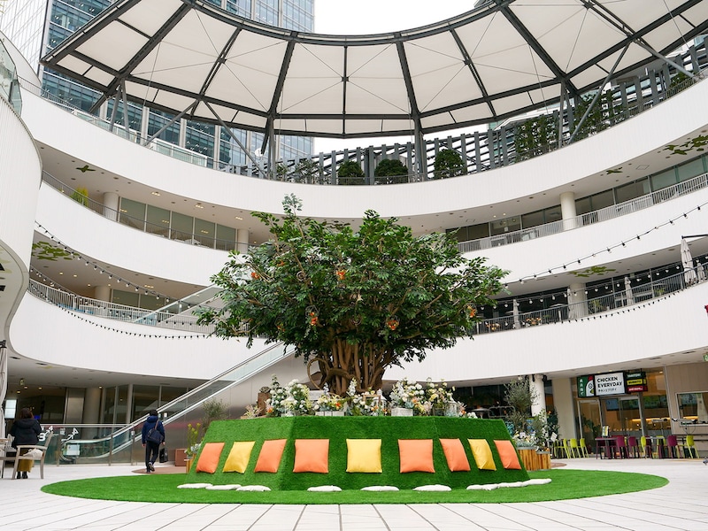 オープンモールの商業施設「横浜ベイクォーター」はペットと一緒に散歩OK(画像はシンボルツリーイベントの様子)