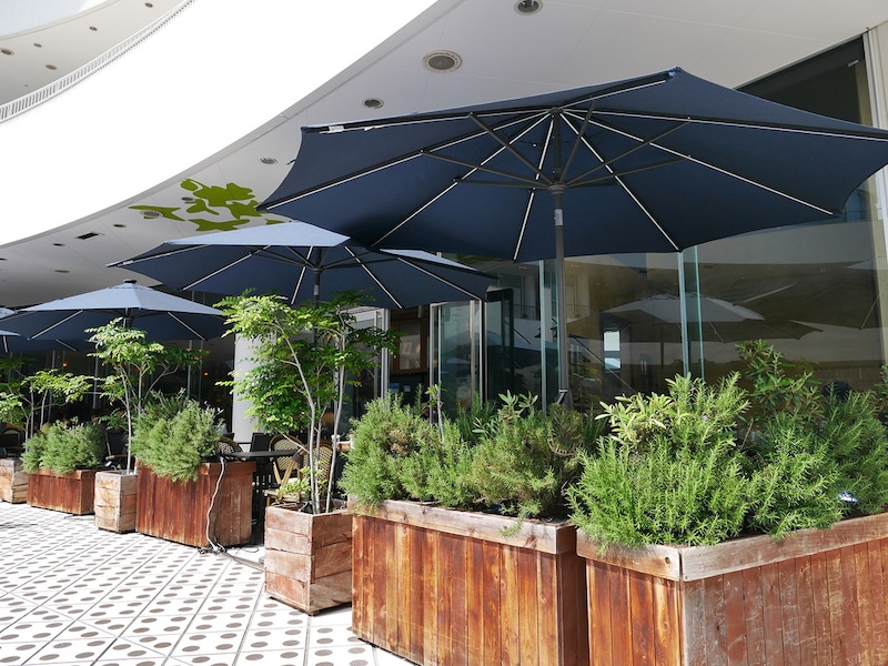 テラス席はすべてペット可