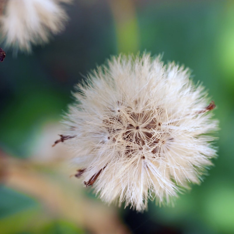 スクエアフォーマット構図