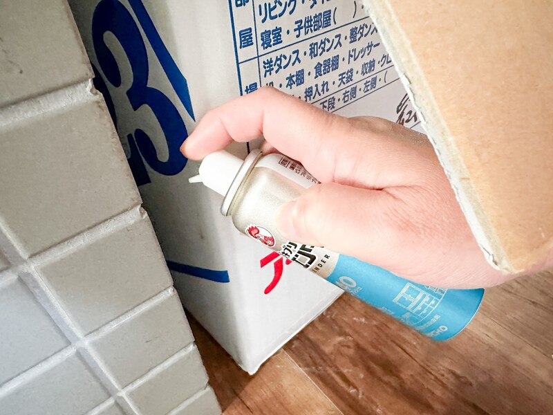 ダンボールは害虫が発生しやすい