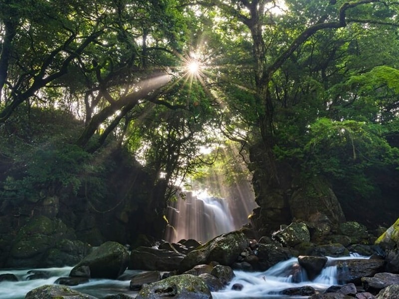 旧暦7月は新暦8月から9月ごろで、朝晩は涼しくなってくる時期