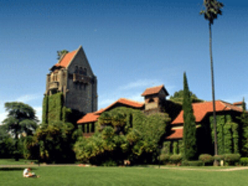 シリコンバレー留学