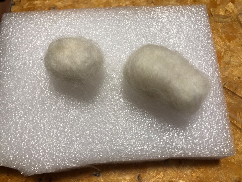 モルモットの体と頭