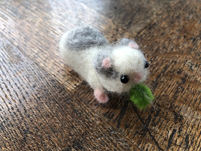 モルモットの完成！