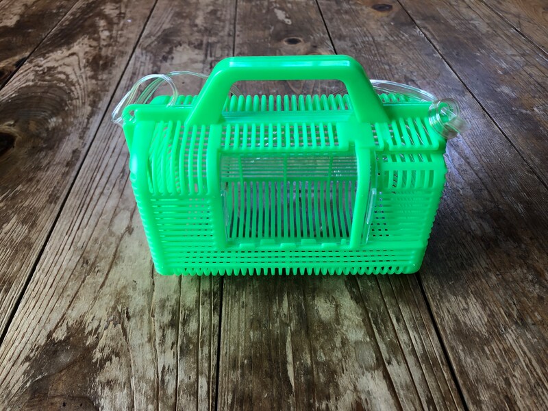 ダイソーの「虫かご（角型）」