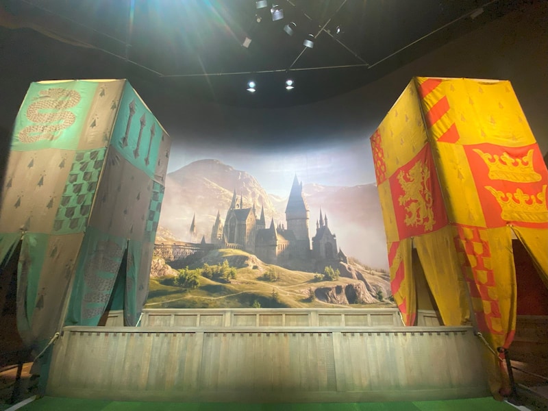 クィディッチ エクスペリエンス