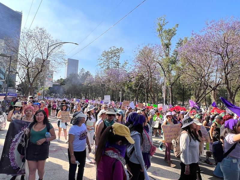 2023年3月8日、国際女性デーのメキシコシティ中心部アラメダ公園前の様子。史上最多の9万以上の参加者が行進した