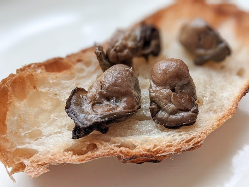 「燻製牡蠣のオイル漬け」