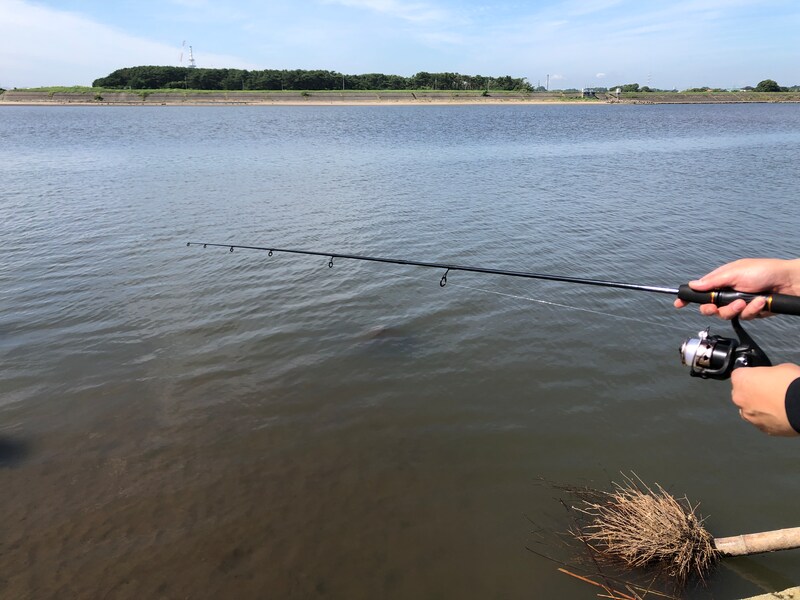 ダイソーの「ルアーロッド」でコストを抑えて釣りを楽しんで