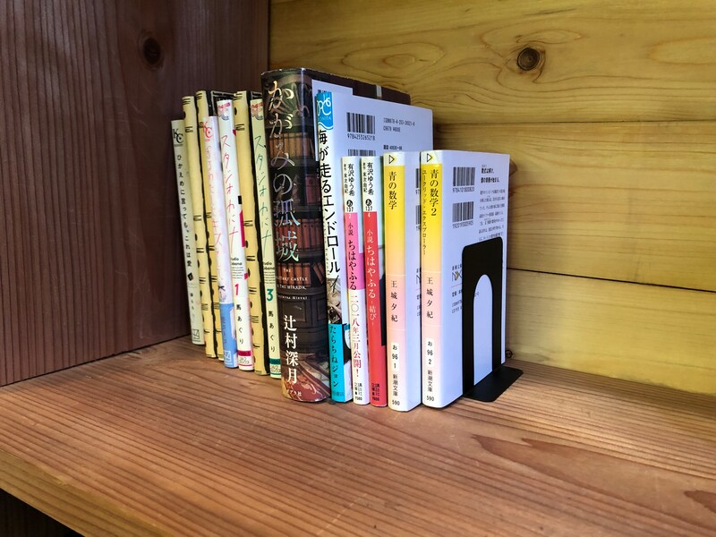 一般的な本ならばダイソーの「ブックエンド」で支えることができる