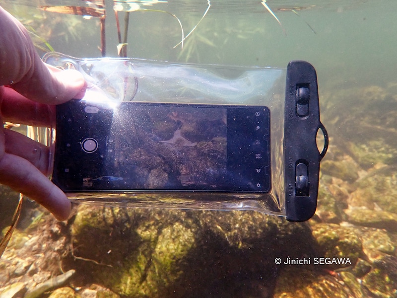 防水ケースで水中撮影