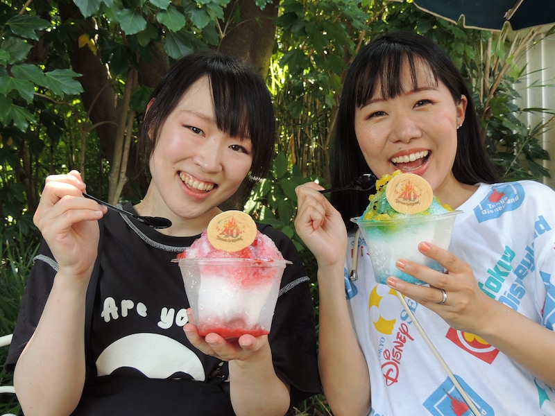 東京ディズニーランドのひんやりメニュー