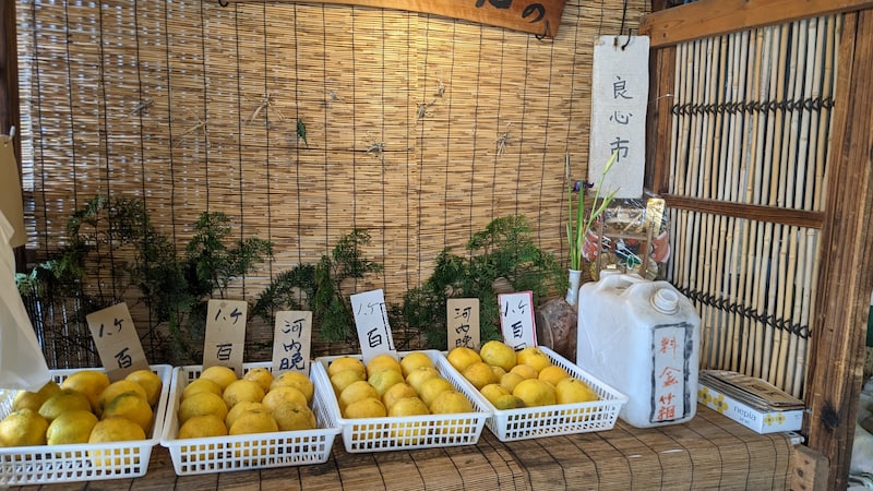 大洲